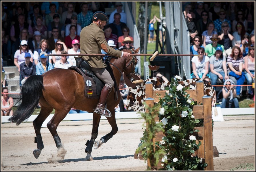 Pferd International 149